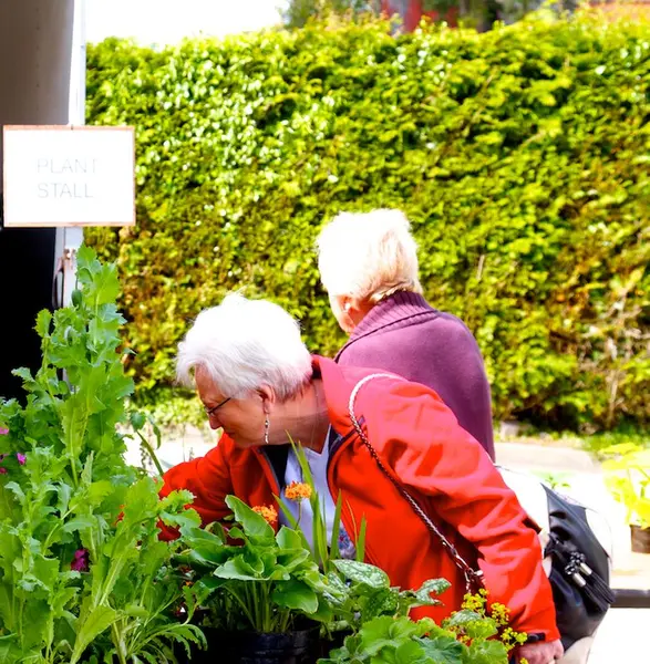 Flower Festival photo 24