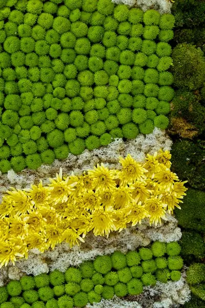 Flower Festival photo 42