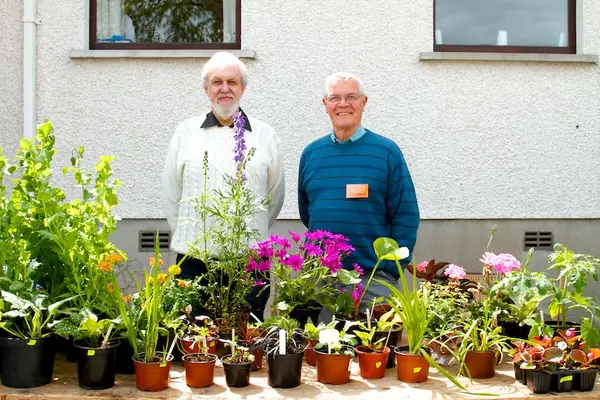 Flower Festival photo 52